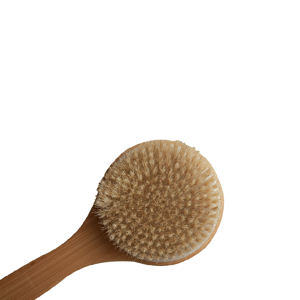 Long Bamboo Shower Brush